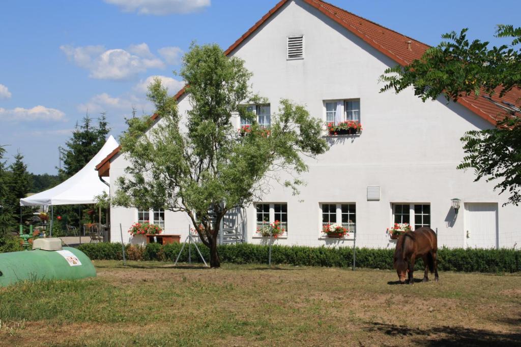 Hotel-Pension Am Muehlberg Lübbenau Pokój zdjęcie